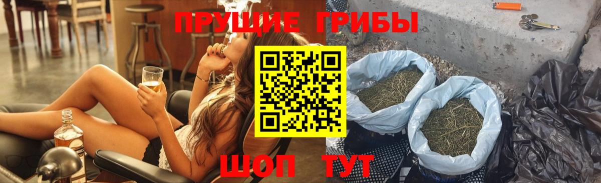 Белореченск  Псилоцибиновые грибы MAGIC MUSHROOMS  Вход с VPN 